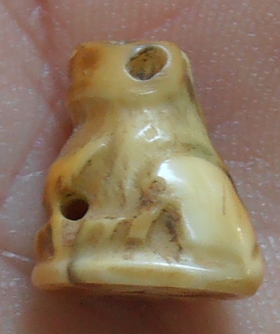 เสือแกะจากเขี้ยว