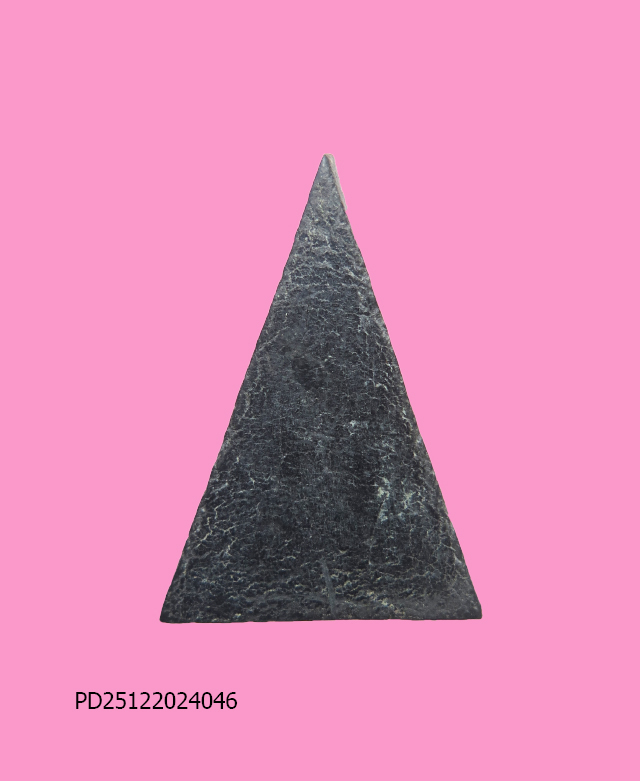 นางพญาเงินล้าน ฝังพลอยแดง วัดพรหมรังษี ปี 21