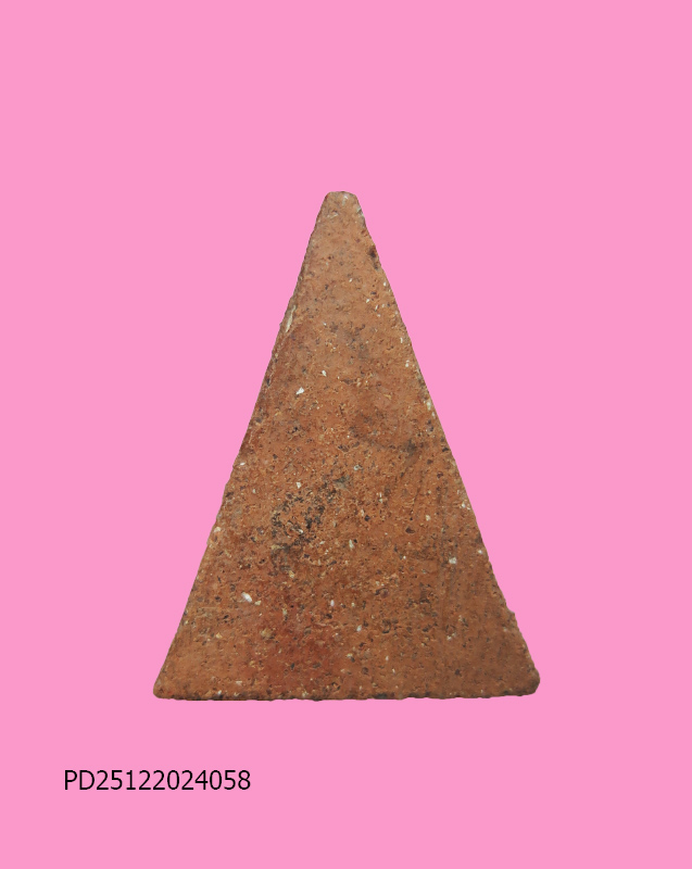 นางพญา เนื้อดิน 