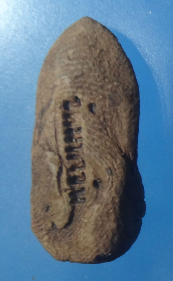 พระรอดวัดมหาวันพิมพ์เล็ก ปี2525