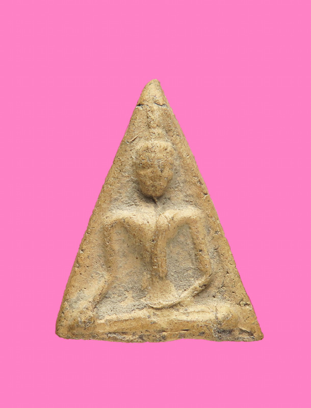 นางพญาเนื้อดิน ก้นปาด