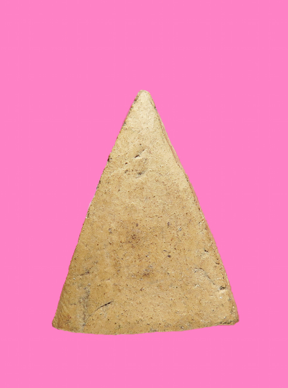 นางพญาเนื้อดิน ก้นปาด