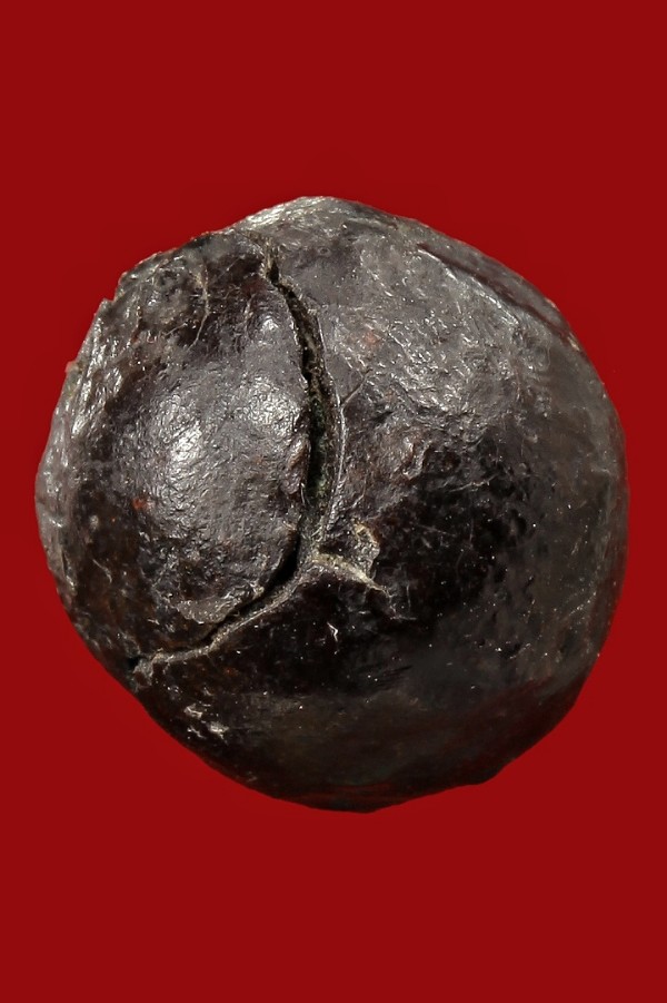 ลูกอมครั่งหลวงพ่อทองศุข วัดโตนดหลวง ขนาดเหรียญ ๑ บาท ด้านในสอดตะกรุดสาริกา