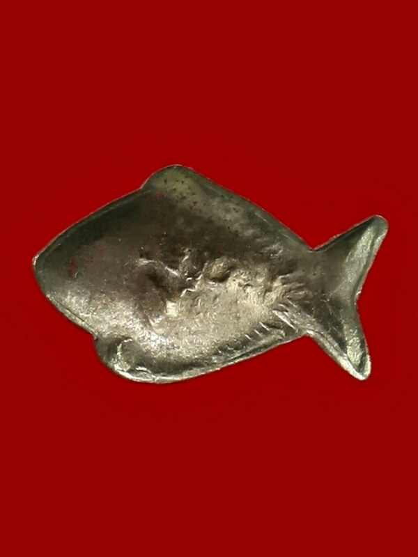 ปลาตะเพียนคู่ (ขนาดเล็ก)