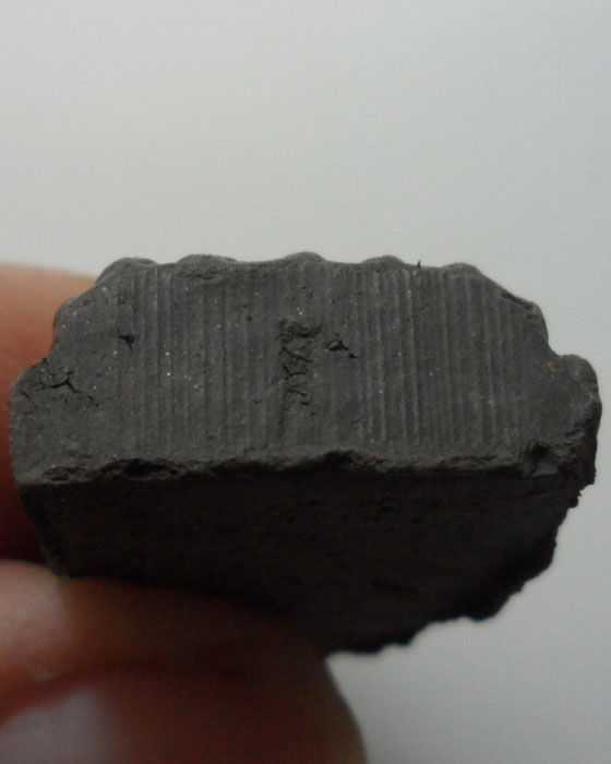 หลวงปู่ทวด วัดช้างให้ 