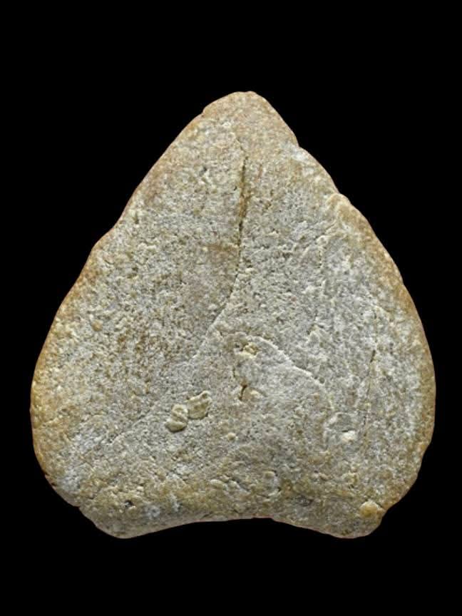 พระปิดตาหลวงปู่แหวน สุจิณโณ วัดดอยแม่ปั๋ง รุ่นทวีทรัพย์ เนื้อผงน้ำมัน ปี2519