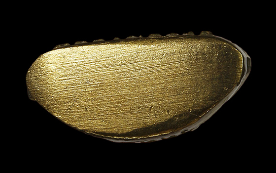 พระรูปเหมือนปั๊มหลวงพ่อรวย ปาสาทิโก วัดตะโก อ.ภาชี จ.อยุธยา