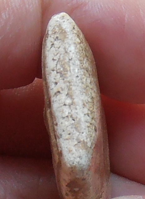 พระสมเด็จพิมพ์วัดเกศไชโย หกชั้นอกตัน