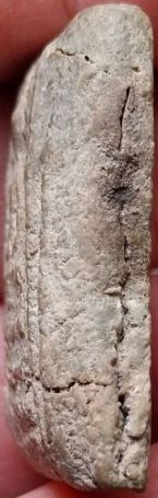 *สมเด็จฯปรกโพธิ์ เนื้อผง กรุบึงพระยาสุเรนทร์ กทม.*