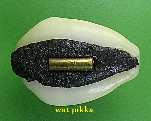 เบี้ยมหาโภคทรัพย์ฝังตะกรุดหัวใจเศรษฐี หลวงปู่สิงห์ วัดบ้านขี้เหล็ก ศรีสะเกษ .B832.*