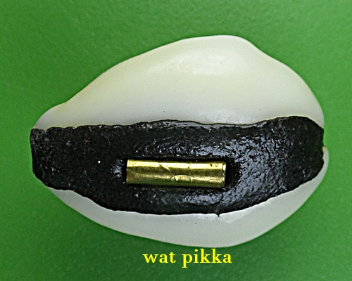 เบี้ยมหาโภคทรัพย์ฝังตะกรุดหัวใจเศรษฐี หลวงปู่สิงห์ วัดบ้านขี้เหล็ก ศรีสะเกษ *.B832.*