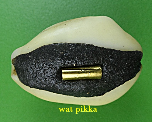 เบี้ยมหาโภคทรัพย์ฝังตะกรุดหัวใจเศรษฐี หลวงปู่สิงห์ วัดบ้านขี้เหล็ก ศรีสะเกษ .B833.*