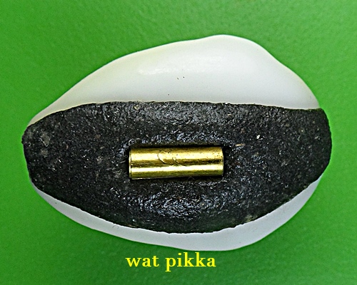 เบี้ยมหาโภคทรัพย์ฝังตะกรุดหัวใจเศรษฐี หลวงปู่สิงห์ วัดบ้านขี้เหล็ก ศรีสะเกษ *.B833.*