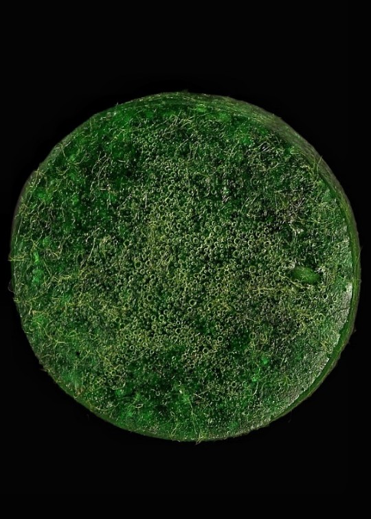 ร.๕ หลวงปู่คำพันธ์ โฆสปัญโญ วัดธาตุมหาชัย นครพนม