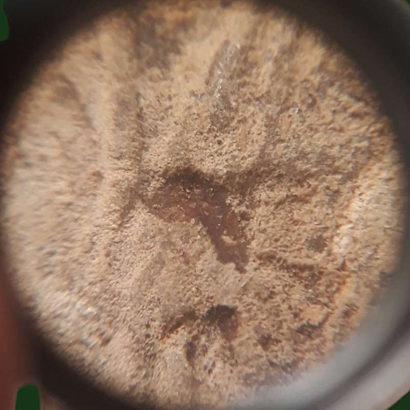 หลวงพ่อแช่ม วัดฉลอง ภูเก็ต เนื้อผงว่าน ปี 2511 พิมพ์พัดใหญ่