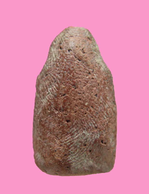 พระกลีบบัว กรุวัดบางสะแก กทม.