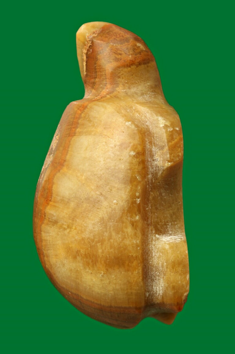 เต่าหินพระธาตุเขาสามร้อยยอด