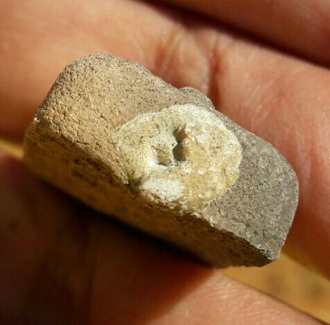 พระไม่ทราบที่ เคาะเดียว   