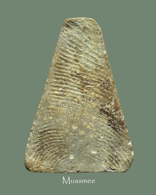 พระผงสุพรรณ หลวงปู่ดี วัดพระรูป สุพรรณบุรี