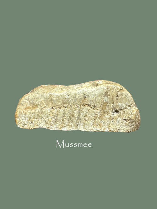 พระผงสุพรรณ หลวงปู่ดี วัดพระรูป สุพรรณบุรี