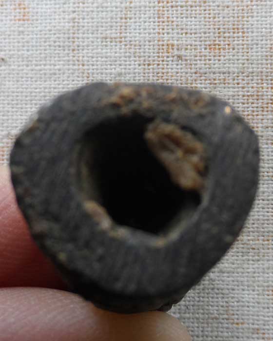 รูปหล่อหลวงปู่ทวด (ไม่ทราบที่)