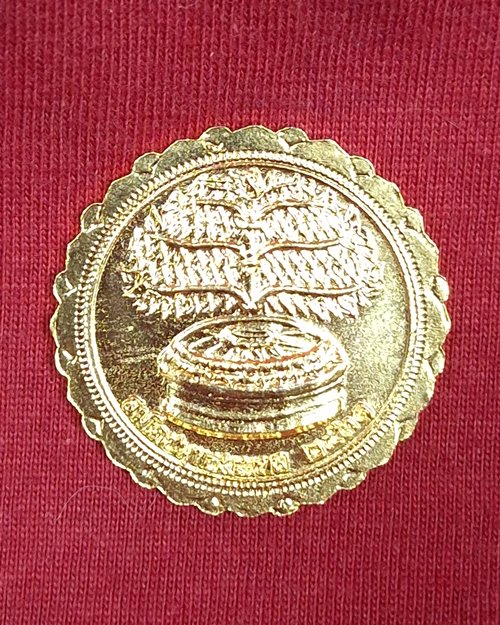 เหรียญพระพุทธปางลีลา สมโภชพุทธมณฑล กะไหล่ทอง ปี2531