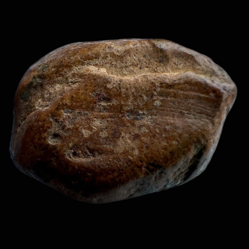 พระคงกรุเก่า ฟอร์มล่ำ องค์พระสวยสมบูรณ์ รอยบิ่นเกิดจาตอนขุดเจอ