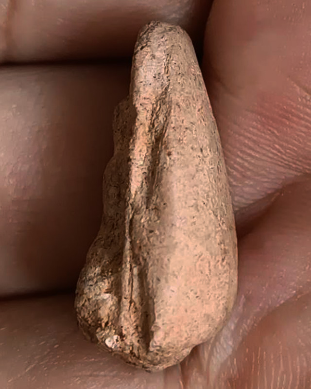 พระเนื้อดิน สูงประมาณ 3 ซ.ม. ไม่ทราบที่ พระบ้านเก่าเก็บ หลายสิบปี