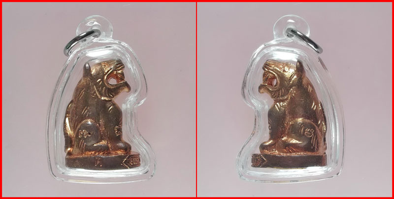 เสือโห หลวงพ่อตี๋ วัดบางคณฑีใน จ.สมุทรสงคราม เนื้อทองแดง พร้อมเลี่ยม