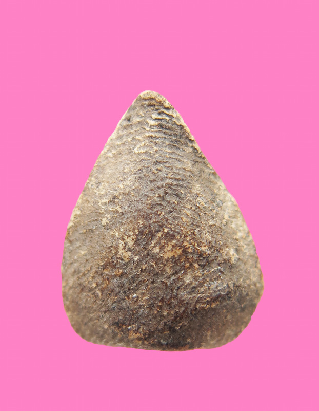 พระพุทธประทับกลีบบัว เก่า