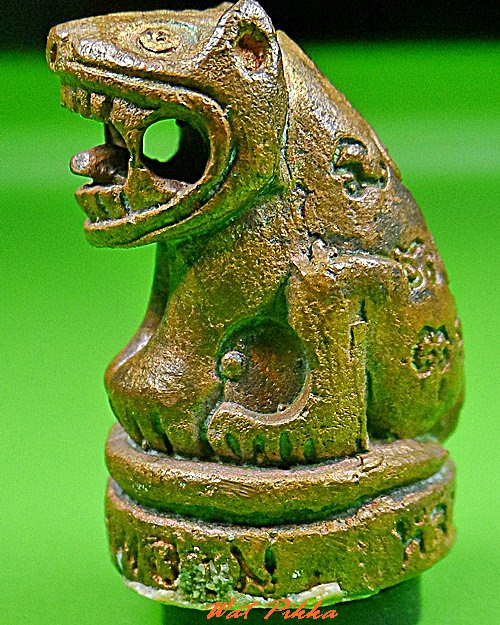 เสือหลวงพ่อชม วัดหลักสอง สมุทรสาคร .C368.