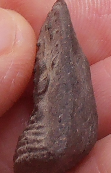 พระหลวงพ่อพริ้ง วัดบางประกอก กทม. พิมพ์พระคง