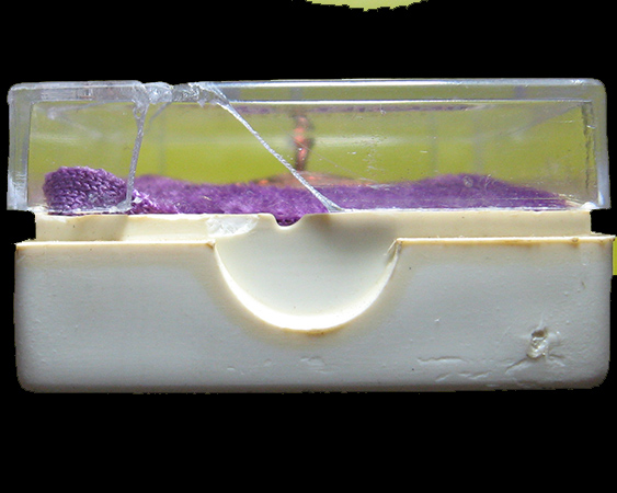 หลวงพ่อยิด จันฺทสุวนฺโณ วัดหนองจอก จ.ประจวบคีรีขันธ์