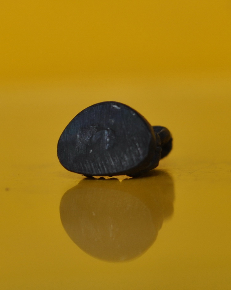 พระชัยวัฒน์ประทานพร สมเด็จพระญาณสังวร