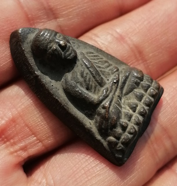 หลวงปู่ทวดพิมพ์หลังเตารีด ปี 05 วัดคอกหมู โค๊ดหมู 5 ตัว พิธีเดียวกับวัดช้างให้ ปี 05 เคาะเดียว