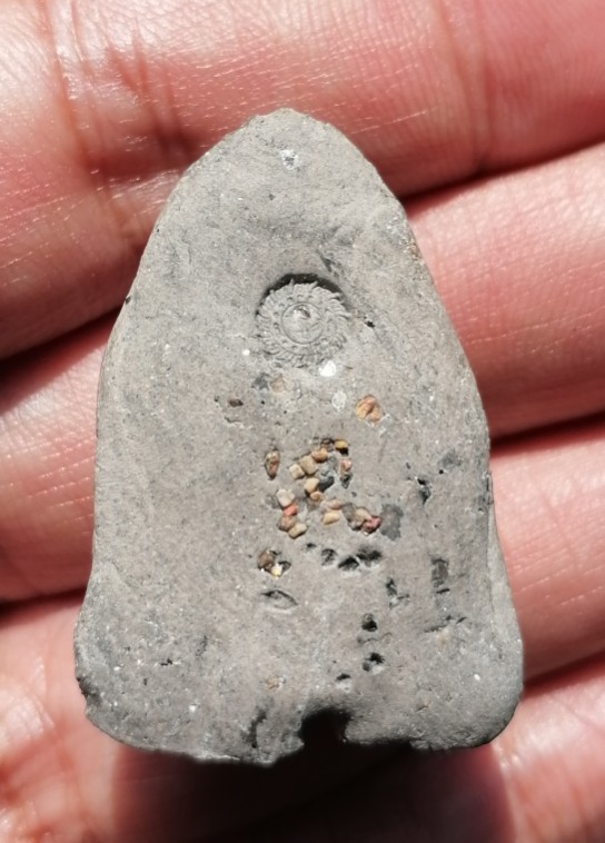 พระหลวงปู่ทวด​ หลังมีโค๊ตกงจักรึ​ พร้อมโรยแร่ไม่ทราบที่ เคาะเดียว   