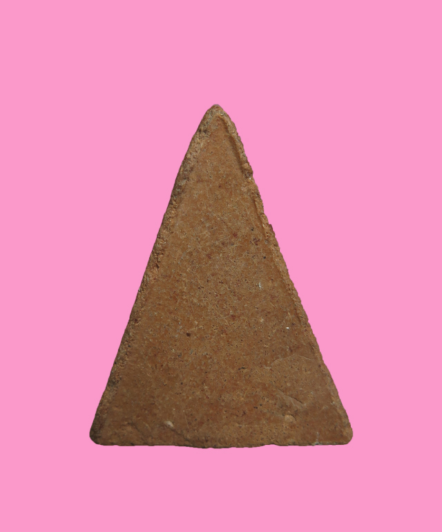 นางพญา แม่ชีบุญเรือน ปี 2499