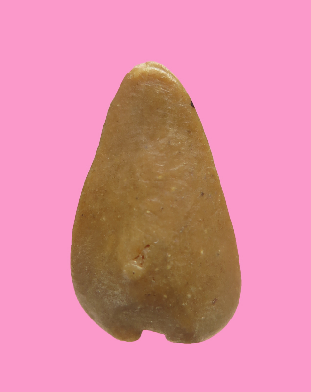 พระกลีบบัวเนื้อผงน้ำมัน