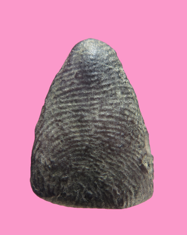 พระสังกัจจายน์ หลวงพ่อเทียม วัดกษัตราฯ ปี19