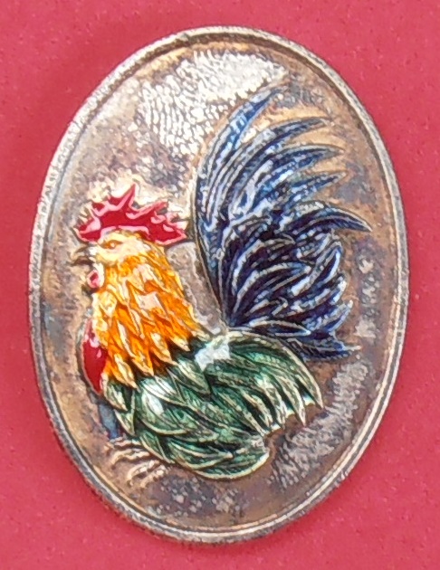 เหรียญไก่หลวงปู่สรวง วัดถ้ำพรหมสวัสดิ์ ลพบุรี