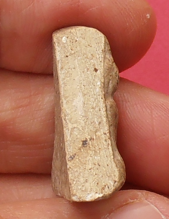 พระนางพญาหลวงปู่เทียน วัดโบสถ์ ปทุมธานี ยุคต้นก่อนปี ๒๕๐๐