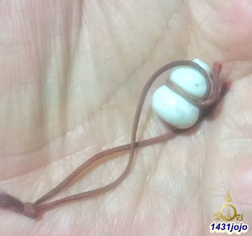 	น้ำเต้าหลวงพ่อสดวัดปากน้ำ