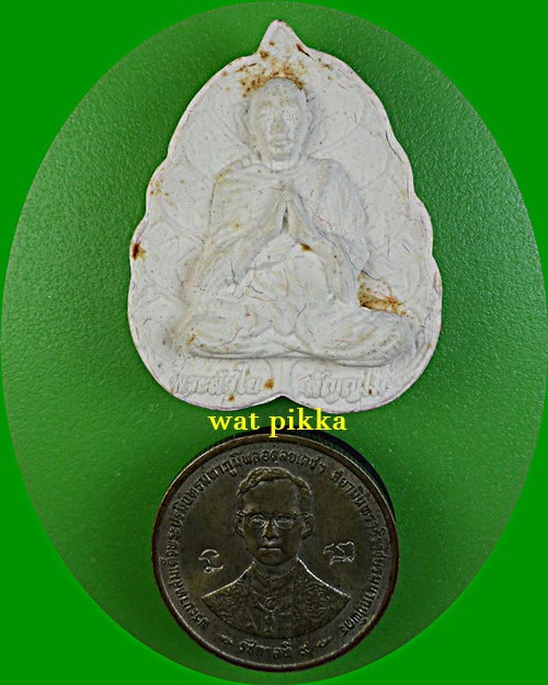 พระผงหลวงพ่อลำใย วัดสะแก อยุธยา *.D150.*