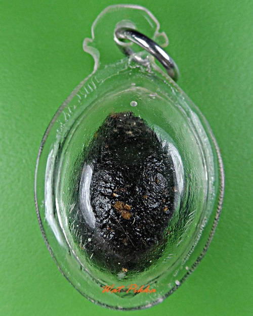 หมากทุยหลวงปู่หลุย วัดราชโยธา กทม. .D333.