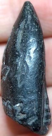 *พระกริ่งคลองตะเคียน กรุวัดประดู่ทรงธรรม อยุธยา*