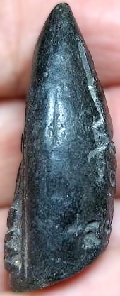 *พระกริ่งคลองตะเคียน กรุวัดประดู่ทรงธรรม อยุธยา*