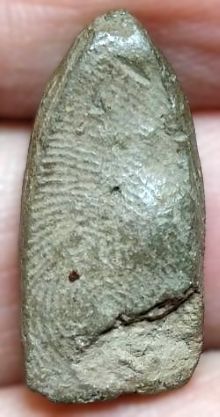 *พระรอดเล็ก เนื้อดิน ท่านพ่อลี วัดป่าคลองกุ้ง จันทบุรี ปี๒๔๙๖*