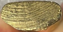 *รูปเหมือนปั๊มหลวงพ่อแพ วัดพิกุลทอง สิงห์บุรี รุ่น๒ ปี๒๕๑๙ สังฆาฏิมียันต์ กะไหล่ทอง*