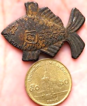 *ปลาตะเพียนเงิน-ตะเพียนทอง สองหน้า หลวงพ่อจง วัดหน้าต่างนอก อยุธยา*