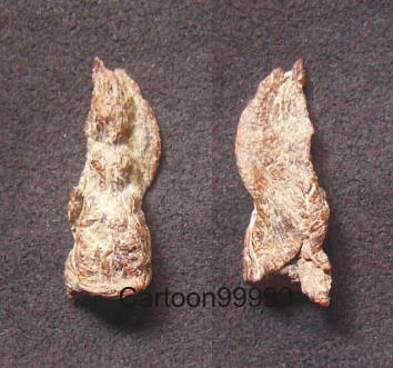  พระว่านจำปาสัก พิมพ์พระพุทธ เล็กขนาดห้อยคอครับ เก่าได้ยุคครับ เบาๆ ครับผม 